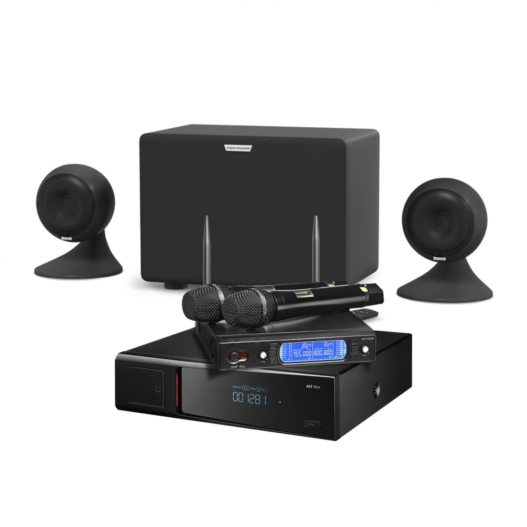 караоке-комплект AST Mini Sound Sphere в Пышме