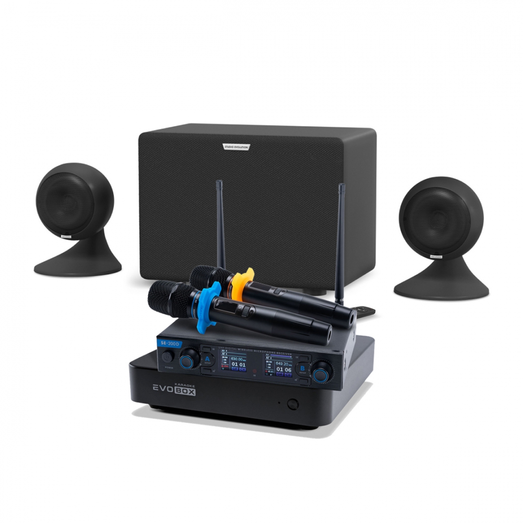 караоке-комплект EVOBOX + EvoSound Sphere 2.1 в Пышме