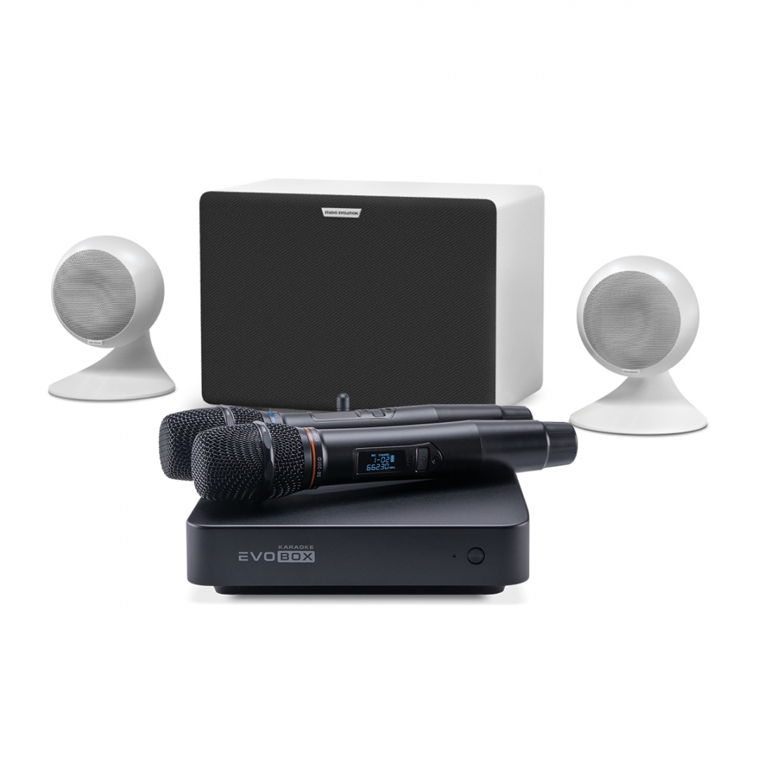 караоке-комплект EVOBOX Classic + EvoSound Sphere 2.1 в Пышме