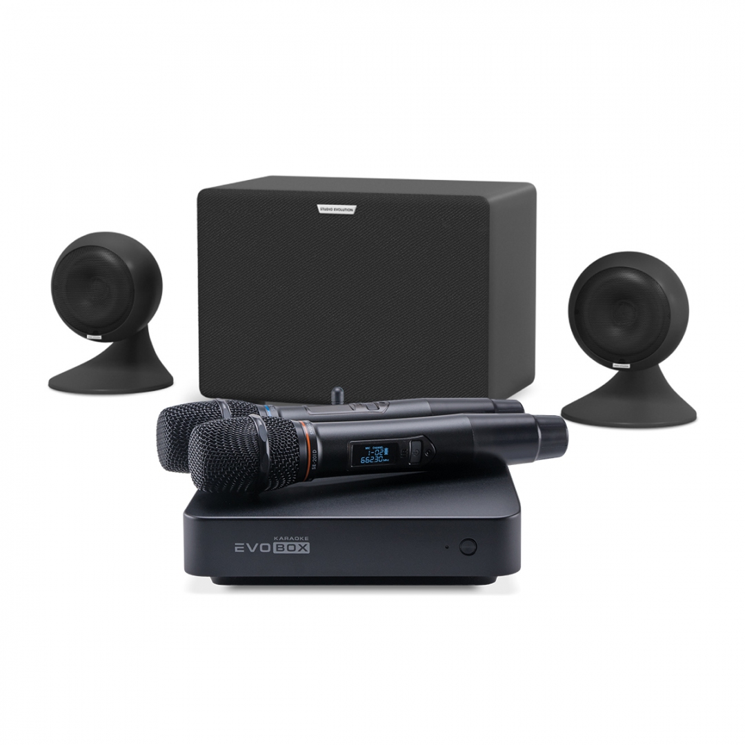 караоке-комплект EVOBOX Plus + EvoSound Sphere 2.1 в Пышме