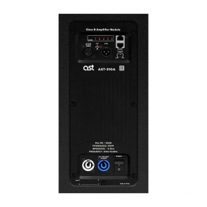 Активная акустическая система AST-310A в Пышме
