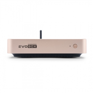 EVOBOX Plus караоке-система для дома в Пышме