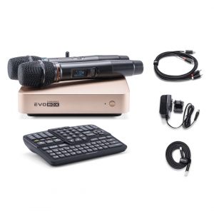 EVOBOX Plus караоке-система для дома в Пышме