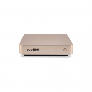 EVOBOX с микрофонами в Пышме