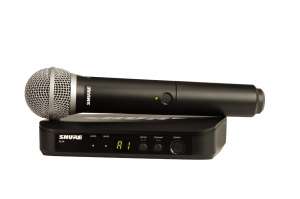 SHURE BLX24E/PG58 M17 вокальная радиосистема в Пышме
